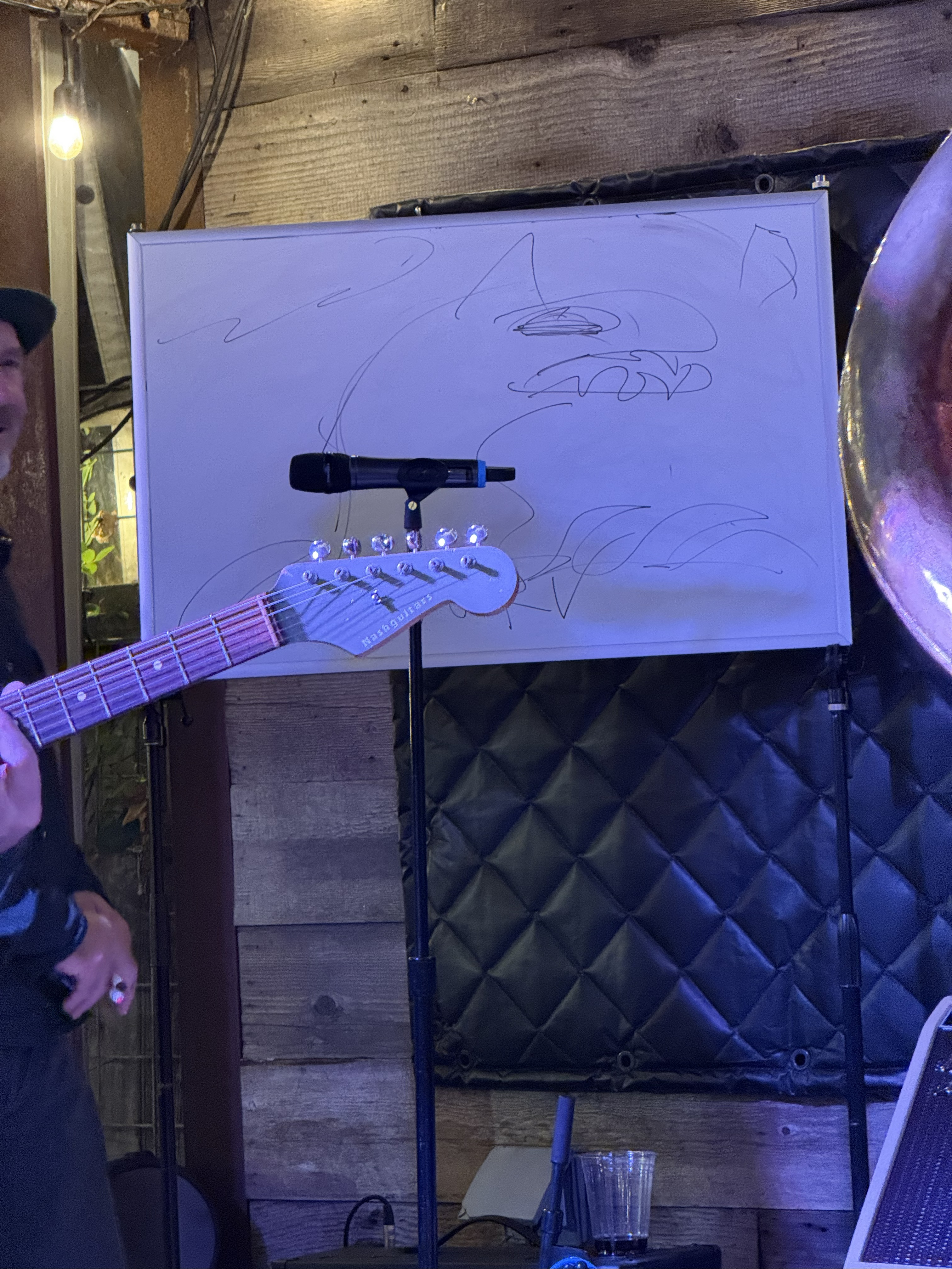 LesClaypool2025-11-22HopmonkTavernSebastopolCA (1).jpg